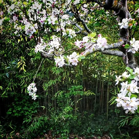 Casa Quevedo * Salamanque