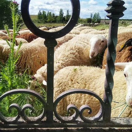 Casa Quevedo 度假居