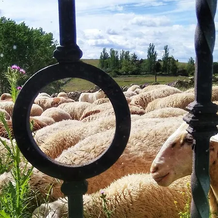 Hébergement de vacances Casa Quevedo Salamanque
