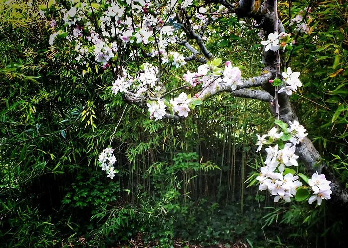 Casa Quevedo * Salamanca