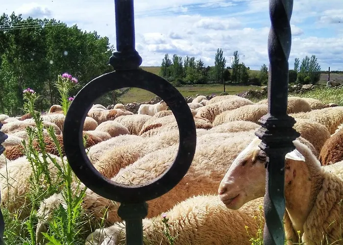 Semesterbostad Casa Quevedo Salamanca