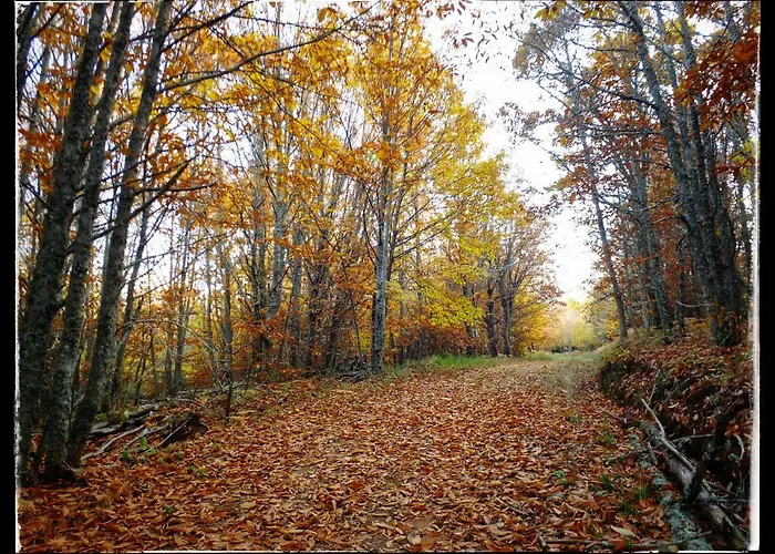 Casa Quevedo Semesterbostad *